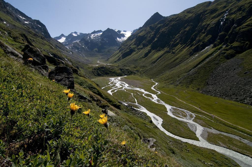 Gaestehaus Danler Neustift im Stubaital Bagian luar foto